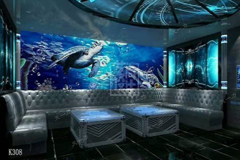 济南ktv预订指南 商务ktv费用介绍-济阳县ktv预订